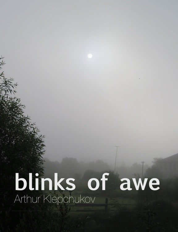blinks of awe cover